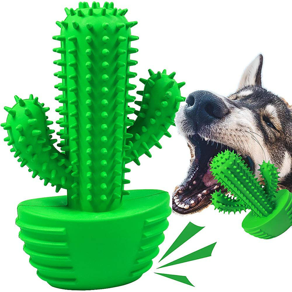 Dog toys sales good for teeth