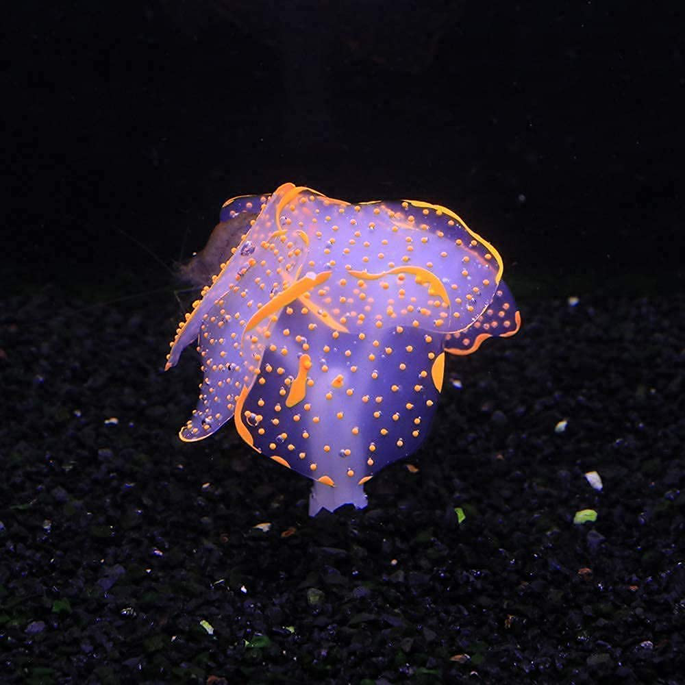 Karhood Glow Aquarium Fish Tank Decorations, Glowing Coral Mushroom Plant Ornaments, 4 Pack Animals & Pet Supplies > Pet Supplies > Fish Supplies > Aquarium Decor CunMei