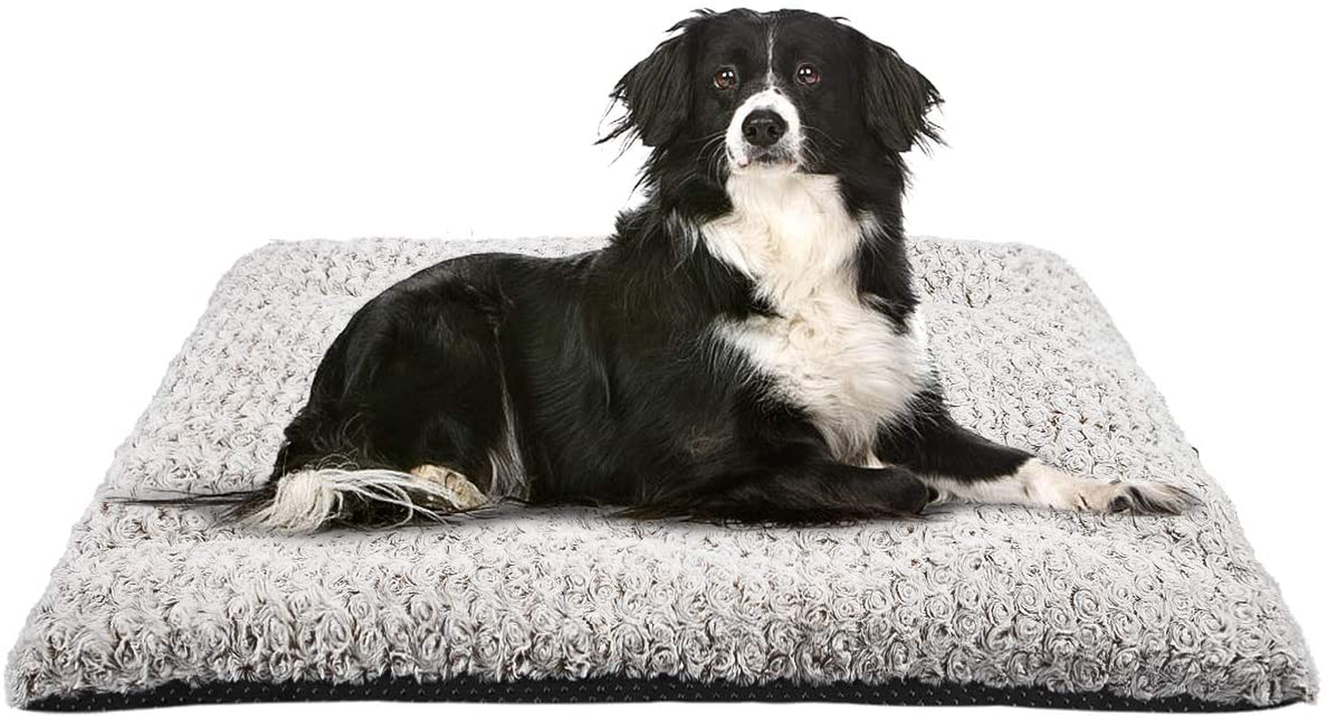 Mixjoy dog deals bed