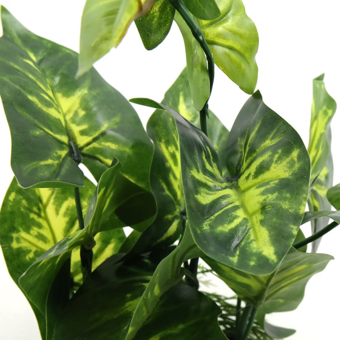 Uxcell Green Plastic Terrarium Tank Lifelike Plant Decorative Ornament for Reptiles Amphibians Animals & Pet Supplies > Pet Supplies > Reptile & Amphibian Supplies > Reptile & Amphibian Habitat Accessories uxcell