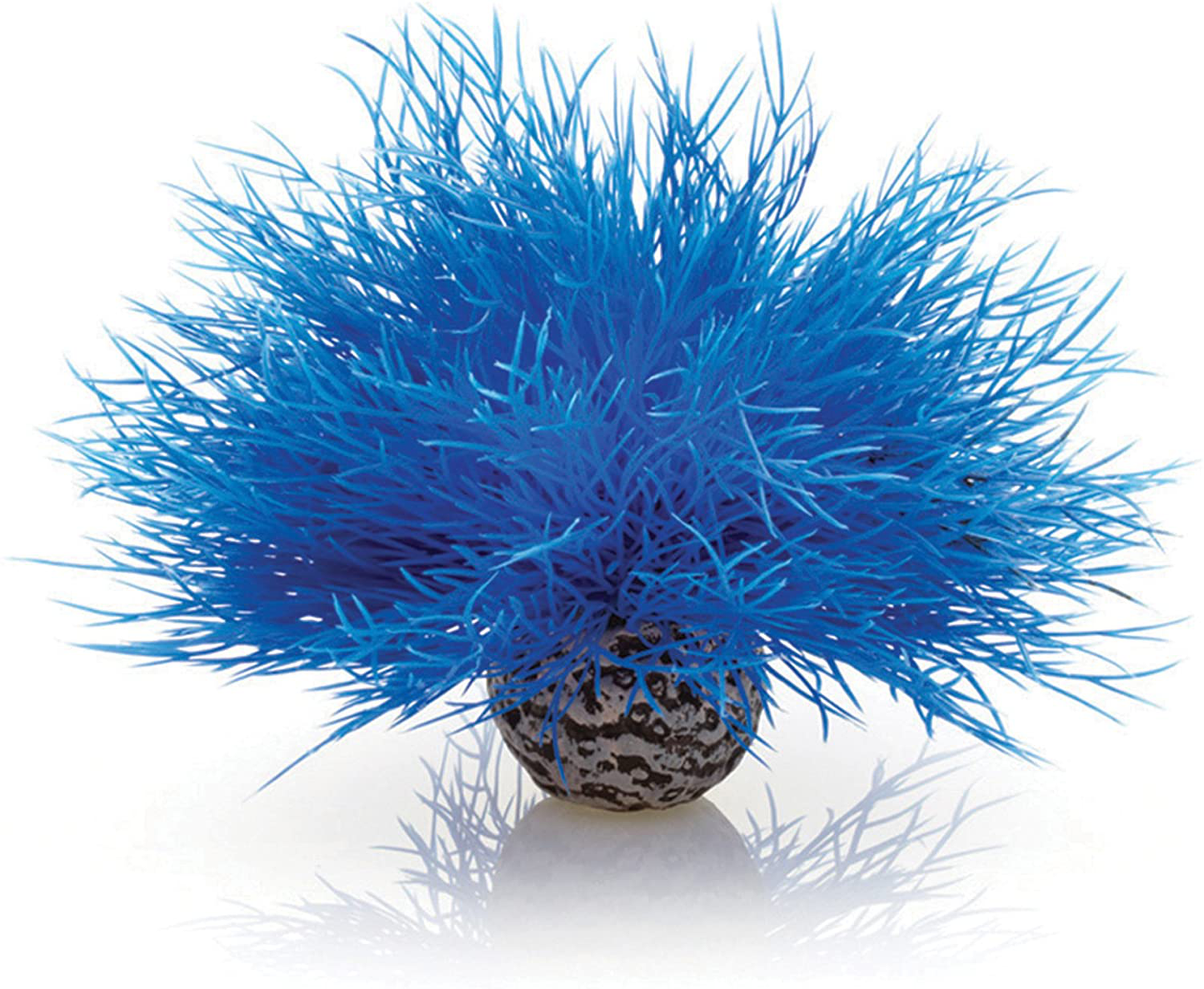 Biorb Sea Lily Animals & Pet Supplies > Pet Supplies > Fish Supplies > Aquarium Decor biOrb Blue