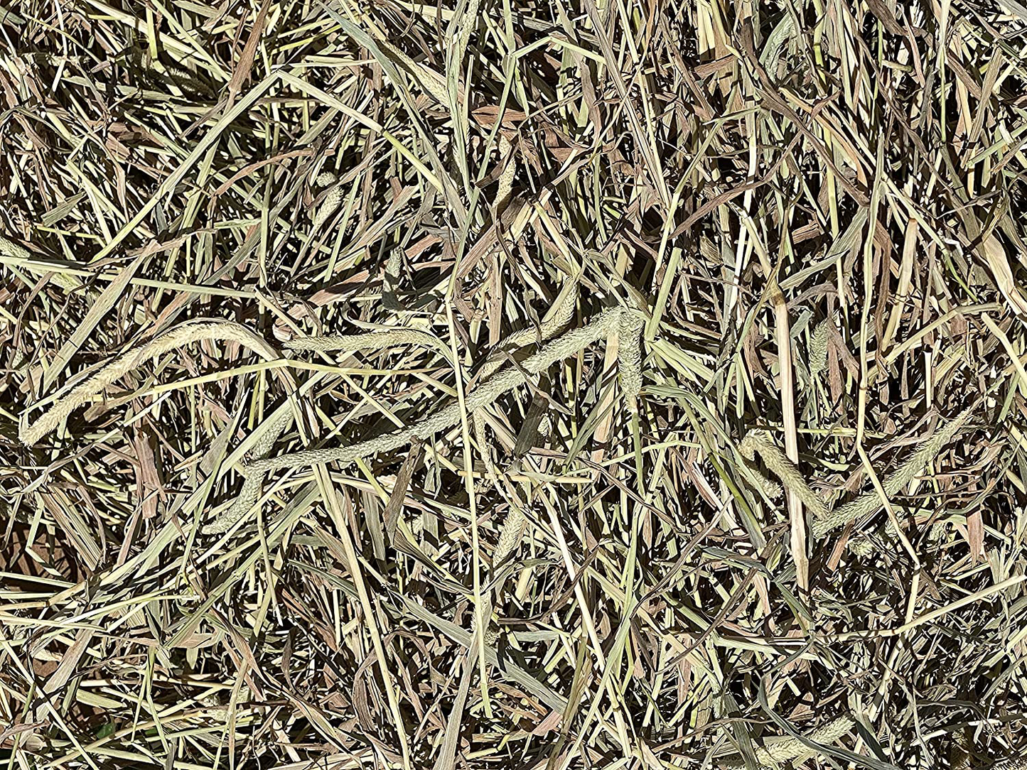 FPS Fox Peak Timothy Hay Rabbits, Guinea Pigs, Chinchilla Food (5+ Lb.) Animals & Pet Supplies > Pet Supplies > Small Animal Supplies > Small Animal Food FPS