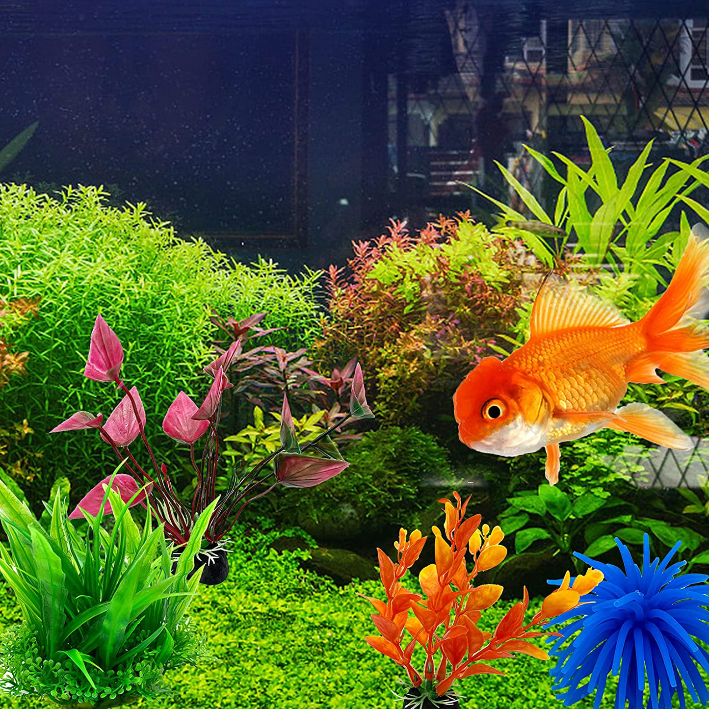 Betta Fish Tank Accessories-Aquarium Feeding Set-Aquarium Plastic Plants with Suction Cup for Betta Fish Sleeping Plastic Plants Decor Animals & Pet Supplies > Pet Supplies > Fish Supplies > Aquarium Decor SHANGXING