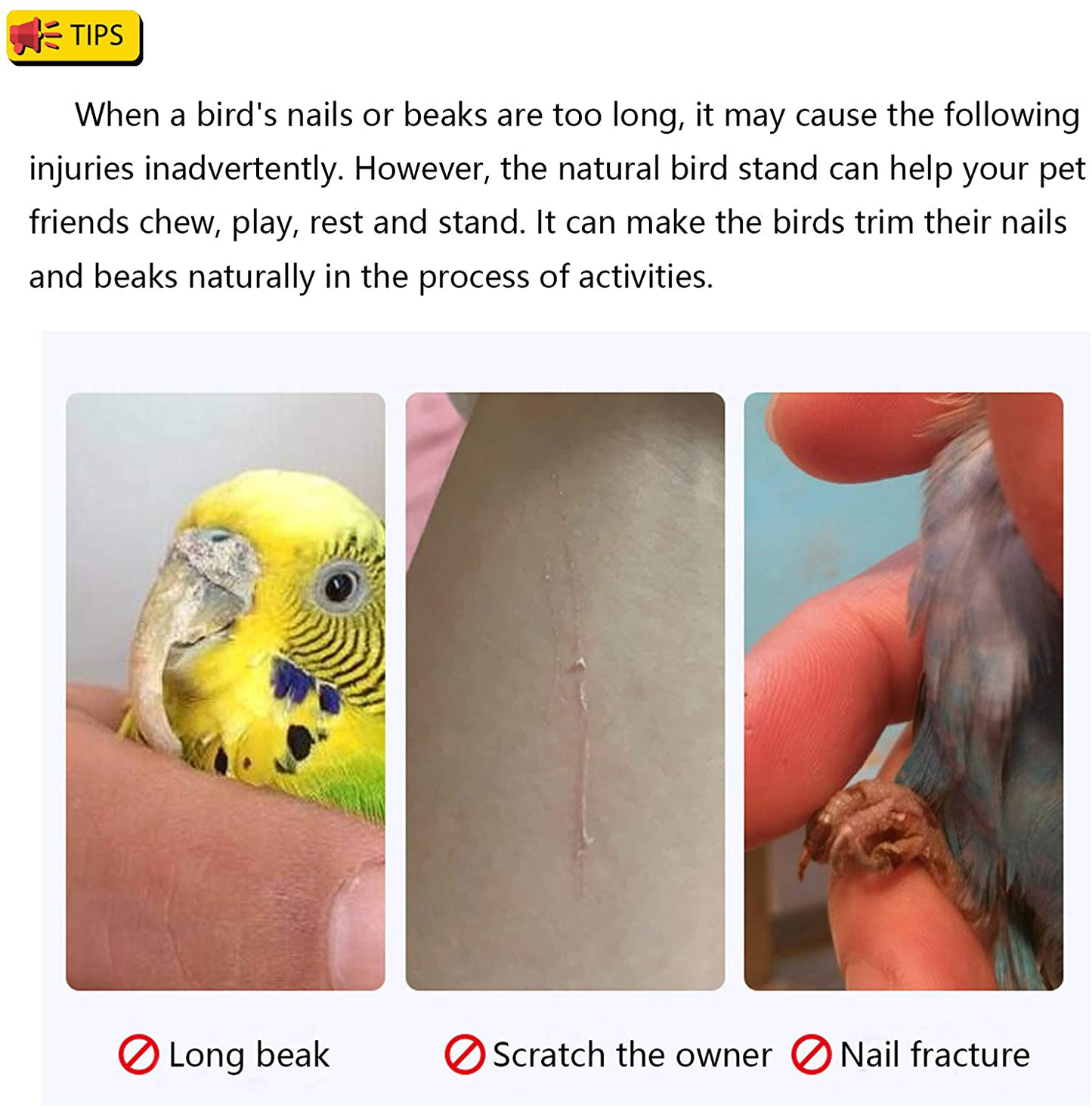 Hamiledyi Parakeet Perch,Bird Natural Wood Stand,Parrot Cage Top Wooden Branches for Standing,Toys for Small Medium Parrots Conure Budgie Lovebirds Animals & Pet Supplies > Pet Supplies > Bird Supplies > Bird Cage Accessories Hamiledyi