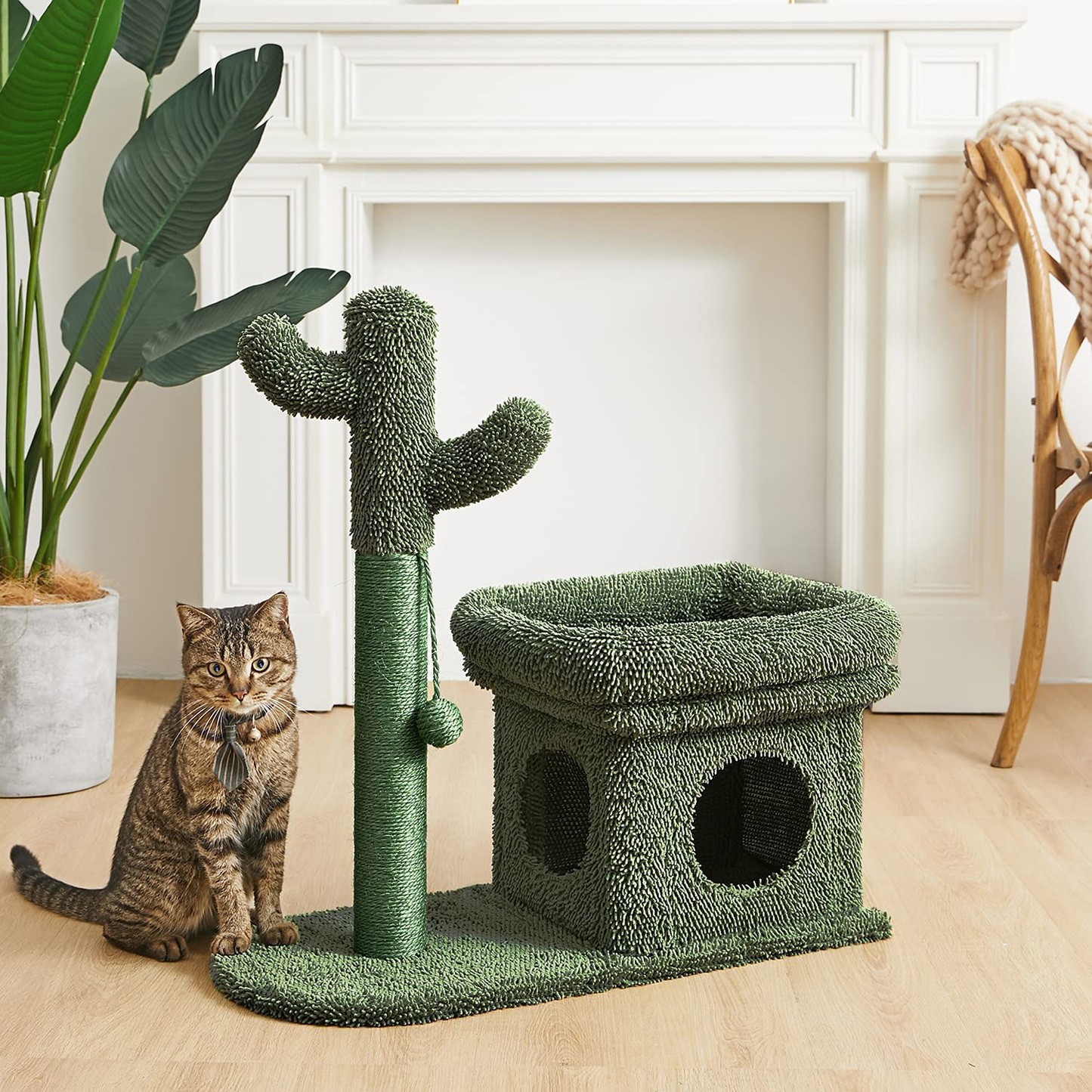 Catinsider 2 in 1 Cat Scratching Post Kitty Condo with Dangling Ball for Small Cats Green Animals & Pet Supplies > Pet Supplies > Cat Supplies > Cat Furniture Catinsider