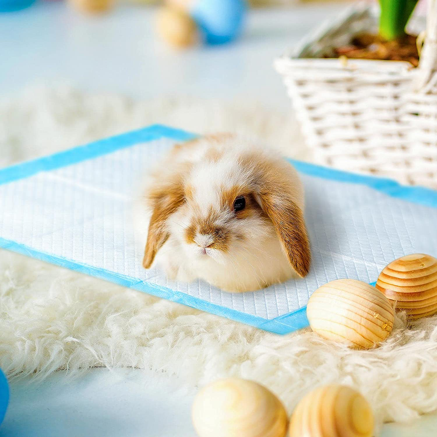 Nuanchu 100 Pieces Blue Rabbit Pee Pads Super Absorbent Disposable Diaper Pads Potty Training Pads Healthy Cleaning Underpads for Guinea Pigs Hedgehogs Hamsters Animals & Pet Supplies > Pet Supplies > Small Animal Supplies > Small Animal Bedding Nuanchu