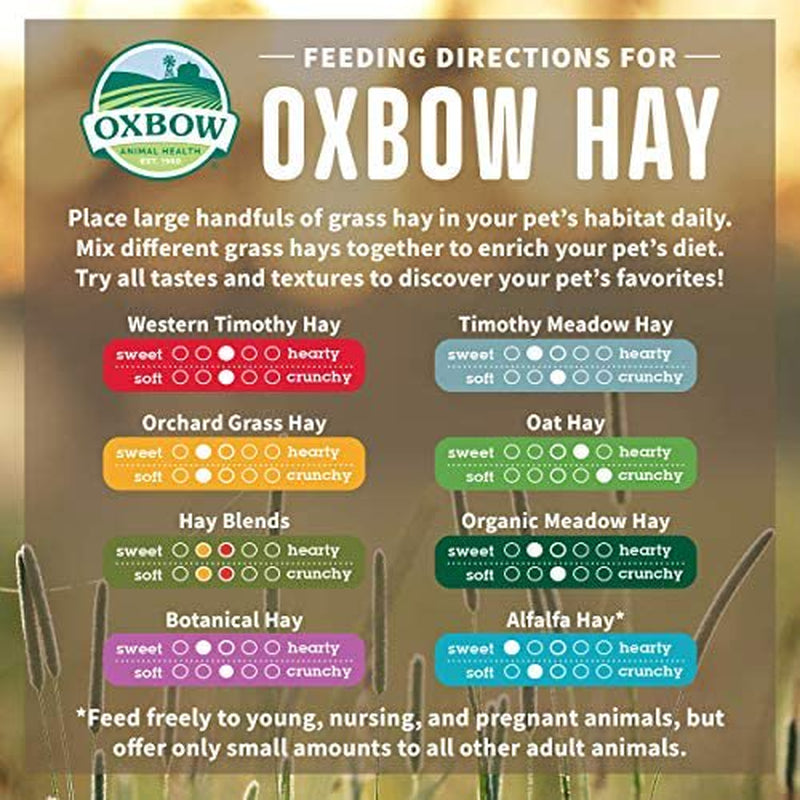 Oxbow Animal Health Orchard Grass Hay - All Natural Grass Hay for Chinchillas, Rabbits, Guinea Pigs, Hamsters & Gerbils - 15 Oz. Animals & Pet Supplies > Pet Supplies > Small Animal Supplies > Small Animal Food Rehoboth Tradings LLC