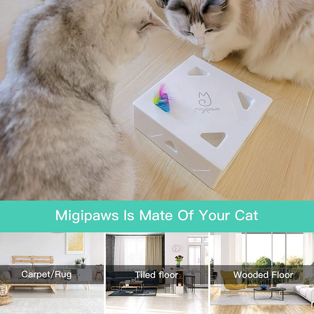 Migipaws Cat Toys, Interactive Kitten Toy for Indoor Cats, Automatic Cat Feather Mice Toys, Pets Smart Electric Peekaboo Teaser, USB Rechargeable, 4Pcs Upgrade Durable Feather Refills Animals & Pet Supplies > Pet Supplies > Cat Supplies > Cat Toys Nanjing DiMeng technology Co., Ltd.