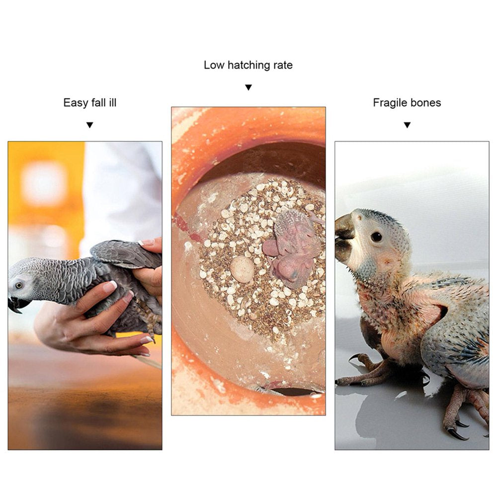 Careslong Natural Cuddle Bone Parrot Chew Toys Chewing Cuttlefish Bone Bird Cuttlebone Animals & Pet Supplies > Pet Supplies > Bird Supplies > Bird Toys FG0087600