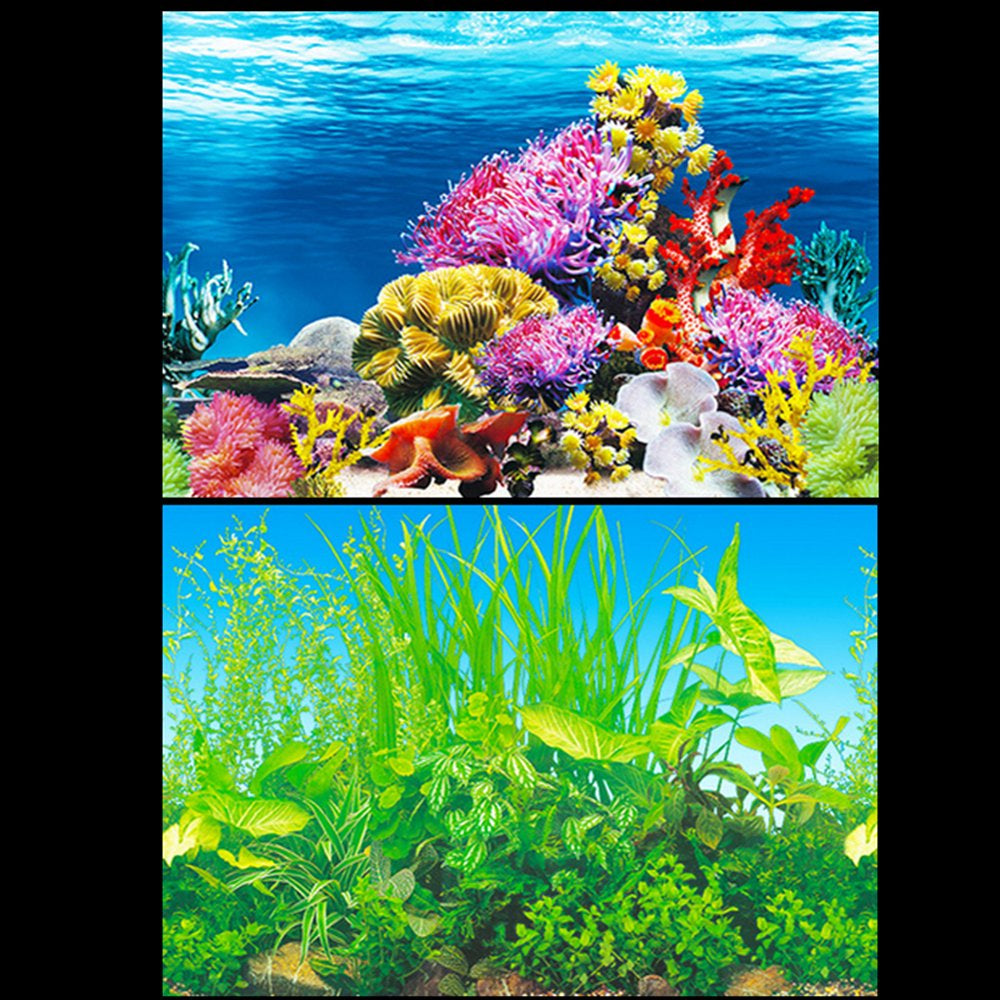 Poseidon Aquarium Background Poster Ocean Self-Adhesive Fish Tank Backdrop Sticker Decor Animals & Pet Supplies > Pet Supplies > Fish Supplies > Aquarium Decor Poseidon