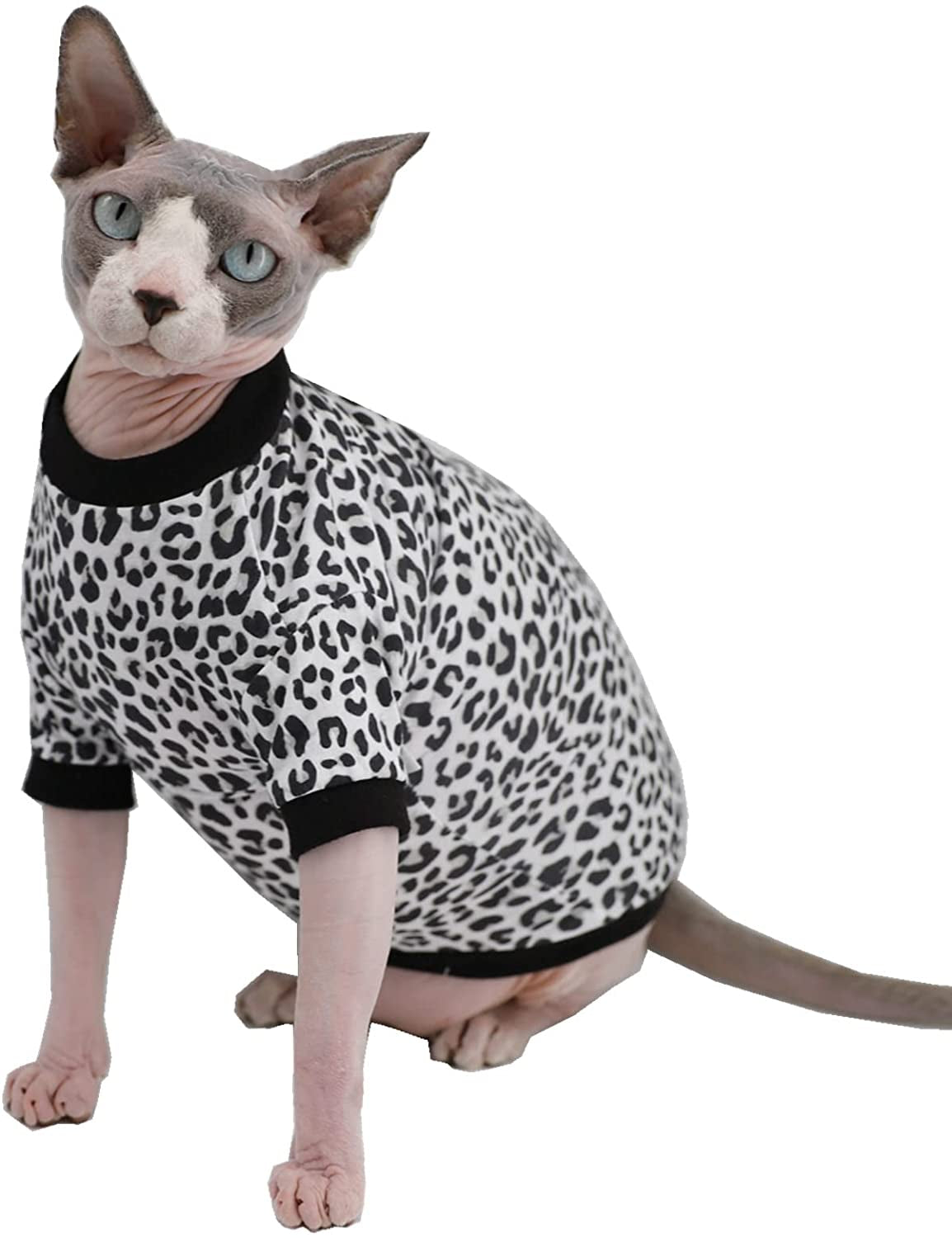 Sphynx Hairless Cats Shirt Elastic Leopard Cat Clothes, Pullover Sphin –  KOL PET