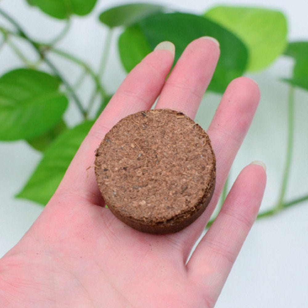 5Pcs Coco Coir Natural Coconut Bricks Tortoise Life Substrate Fibre Growing Media Gardening Art Supplies for Aquarium Animals & Pet Supplies > Pet Supplies > Fish Supplies > Aquarium Gravel & Substrates Vonets