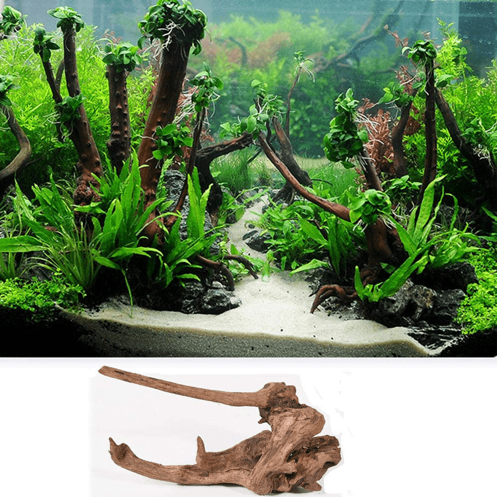 5Pcs Driftwood Branches Aquarium Wood Decoration Natural Fish Tank Habitat Decor Wood for Lizard Assorted Size,Small