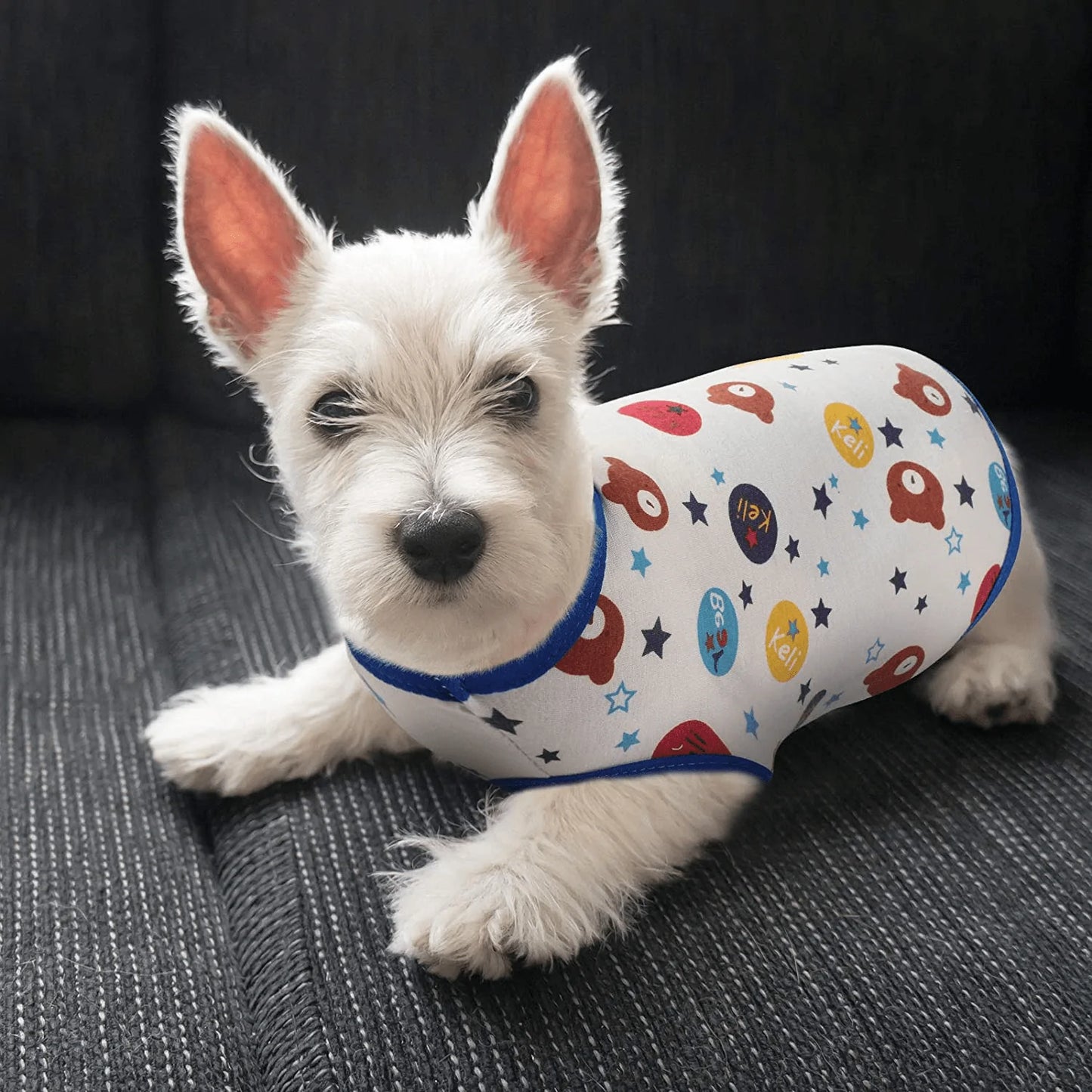 6 Pieces Dog Shirts Cute Printed Dog Clothes Soft Cotton Pet T Shirt Breathable Puppy Sweatshirt Apparel Outfit for Pet Dog Animals & Pet Supplies > Pet Supplies > Dog Supplies > Dog Apparel Geyoga