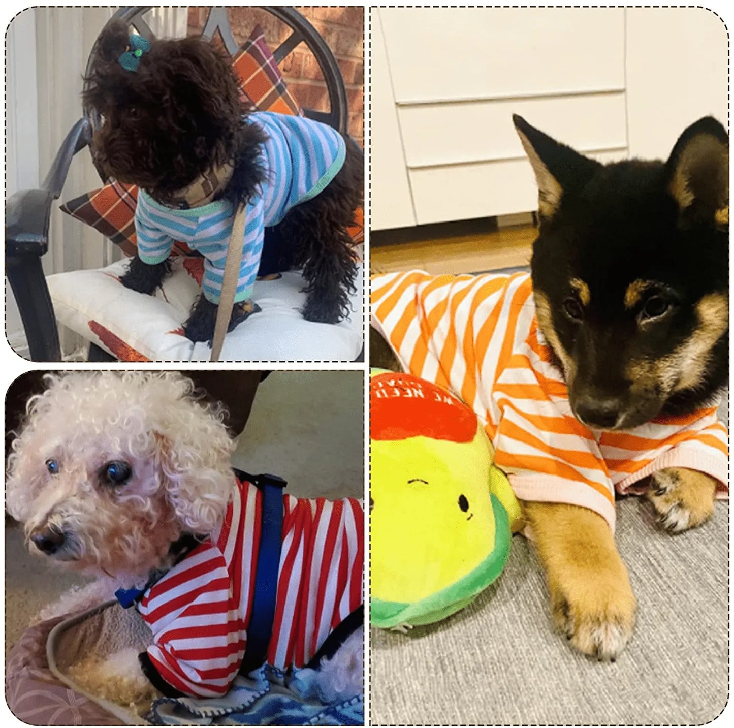 6 Pieces Dog Striped T-Shirt Dog Shirt Breathable Pet Apparel Colorful Puppy Sweatshirt Dog Clothes for Small to Medium Dogs Puppy Animals & Pet Supplies > Pet Supplies > Dog Supplies > Dog Apparel Geyoga