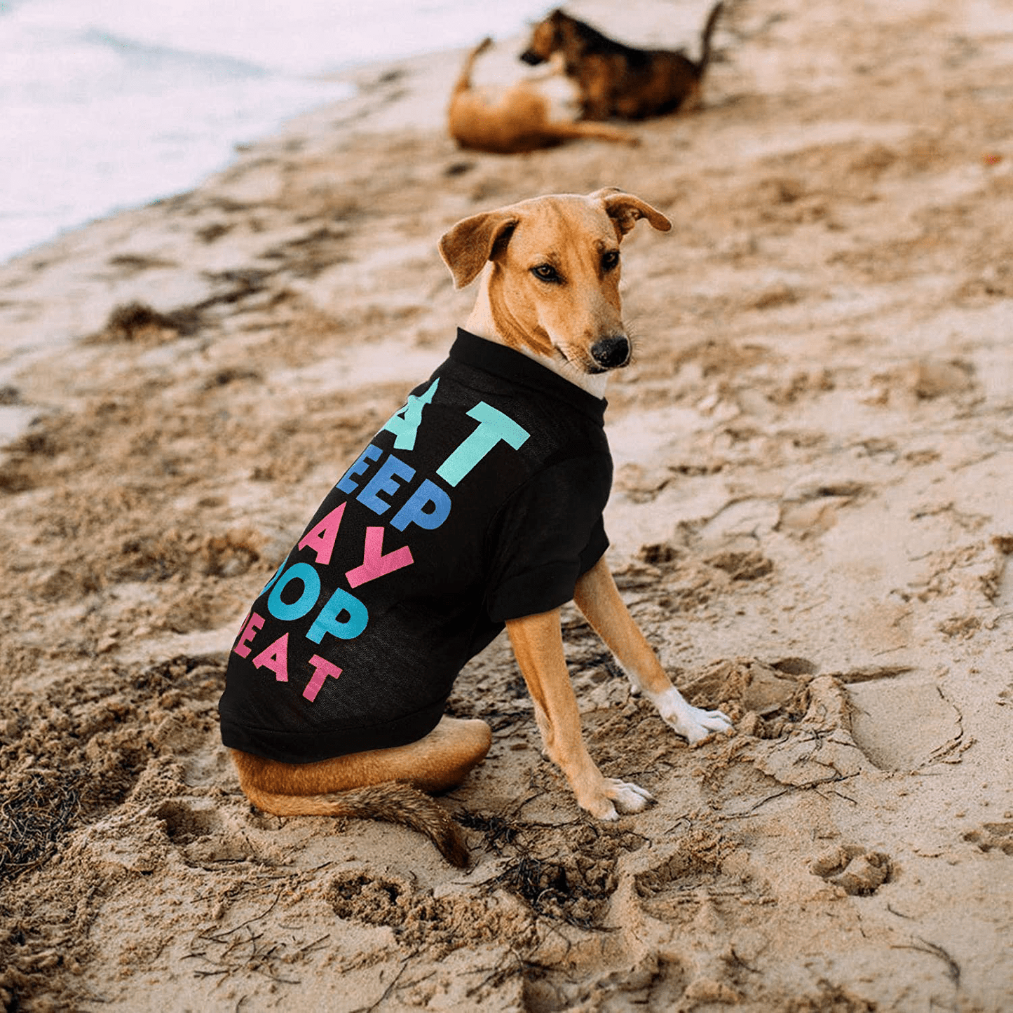 6 Pieces Printed Puppy Dog Shirts Soft Puppy Sweatshirt Breathable Pet Shirts Daily Puppy Clothing for Dogs and Cats (Small) Animals & Pet Supplies > Pet Supplies > Cat Supplies > Cat Apparel Syhood