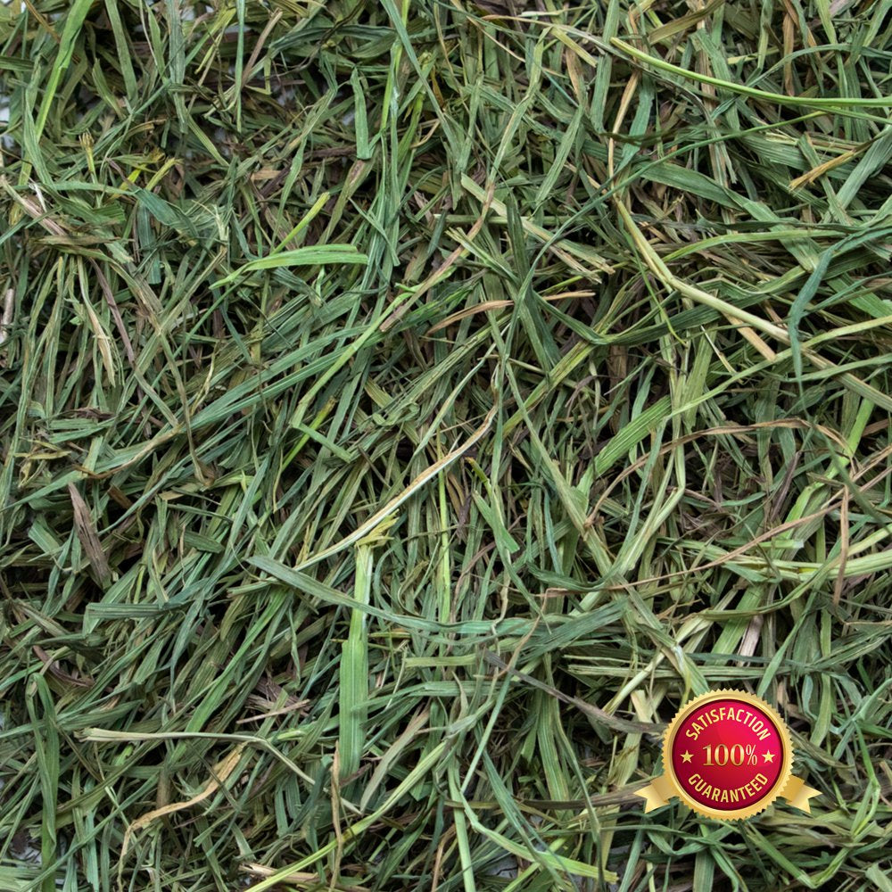 Rabbit Hole Hay, Ultra Premium Soft Timothy Hay; 20Lb Box Animals & Pet Supplies > Pet Supplies > Small Animal Supplies > Small Animal Food Rabbit Hole Hay