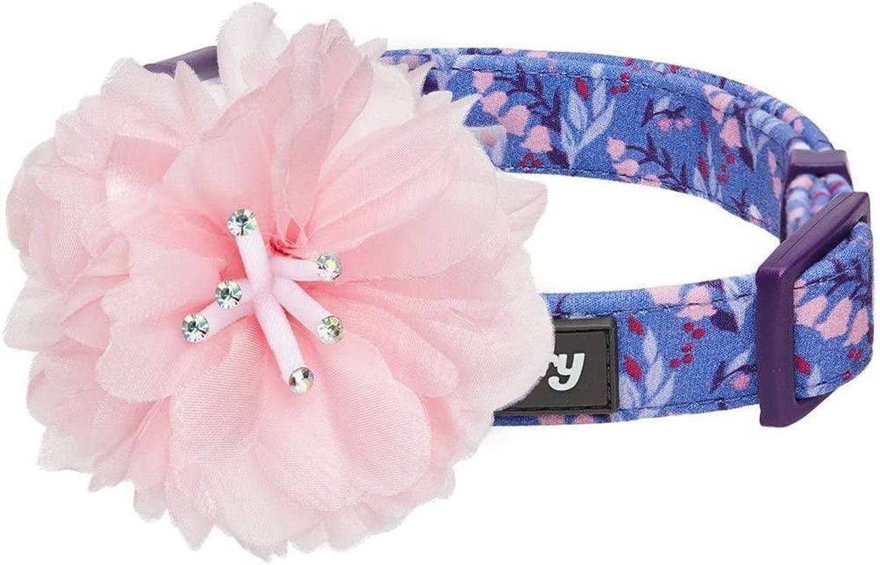 Blueberry Pet Heart Flocking Dog Collar Valentine’S Day Adjustable Collars with Velvety Bowtie for Medium Dogs, Mint Green, Neck 14.5"-20" Animals & Pet Supplies > Pet Supplies > Dog Supplies > Dog Apparel Blueberry Pet Floral Power - Dark Purple Large