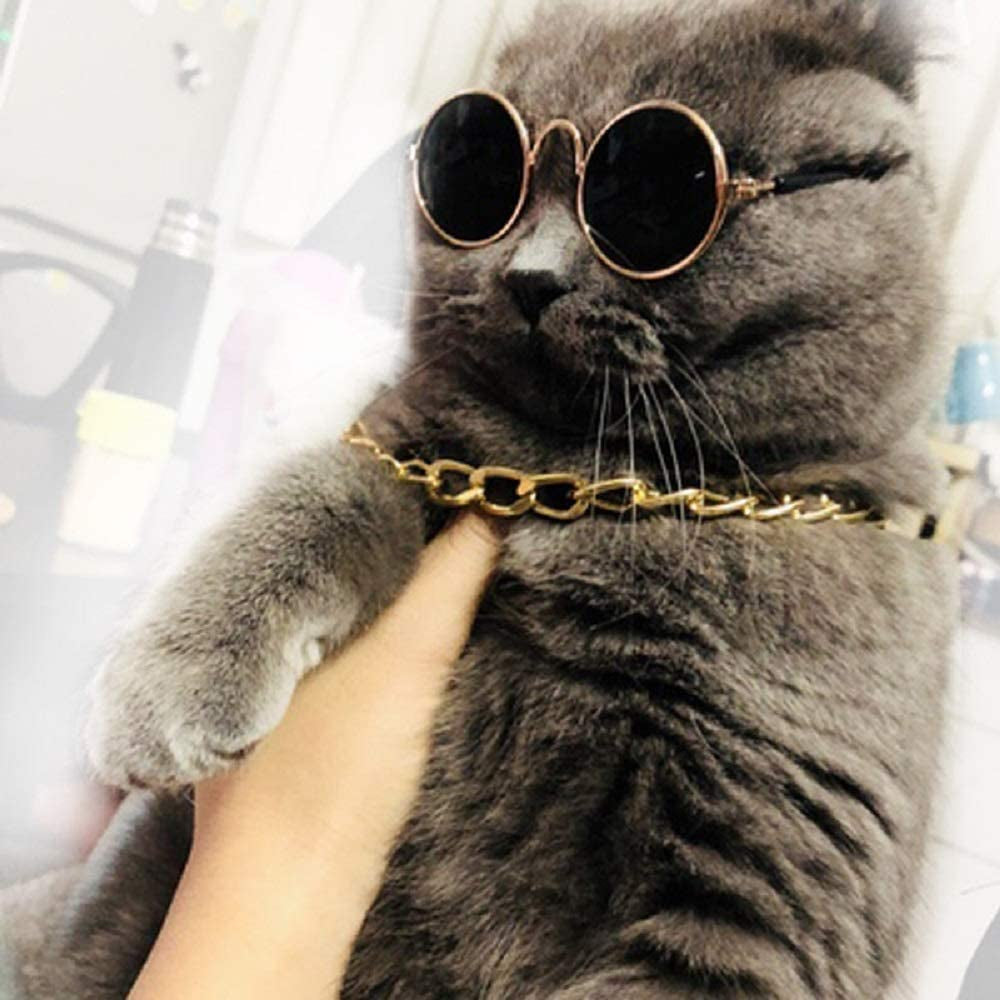 Secaden Funny Pet Classic Retro Circular Sunglasses and Gold Color Chain Necklace for Cats Small Dogs Animals & Pet Supplies > Pet Supplies > Dog Supplies > Dog Apparel Secaden