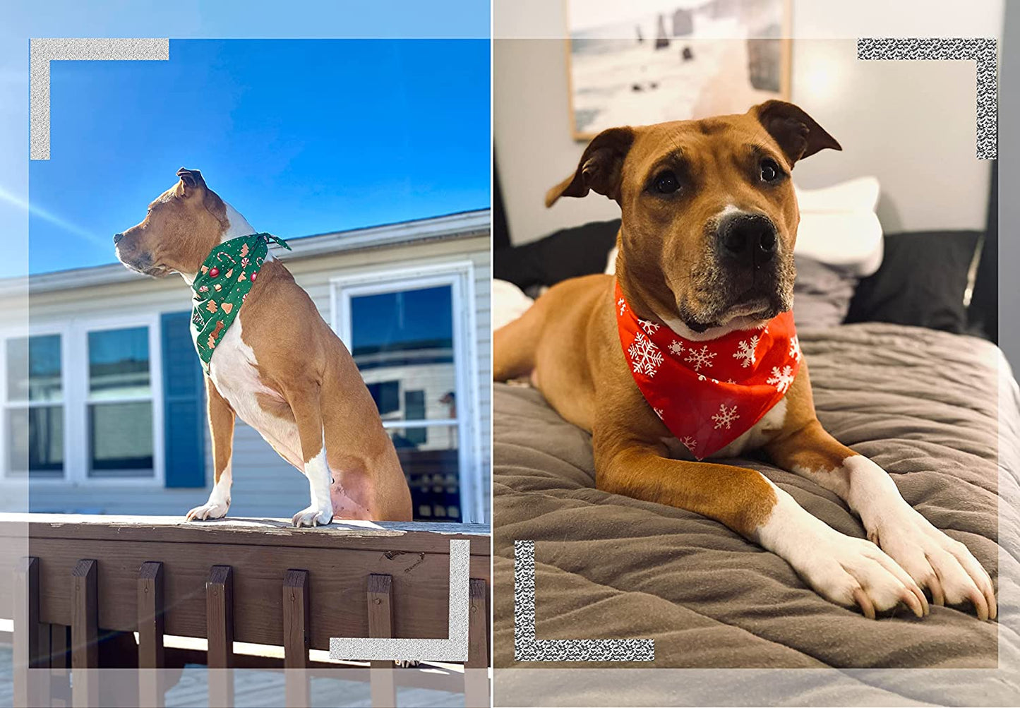 Dog Christmas Bandana,Nevirige Dog Bandanas Boy/Girl Breed 2 Pcs,Reversible Triangle Dog Scarf Bibs for Large Medium Dogs Animals & Pet Supplies > Pet Supplies > Dog Supplies > Dog Apparel NEVIRIGE