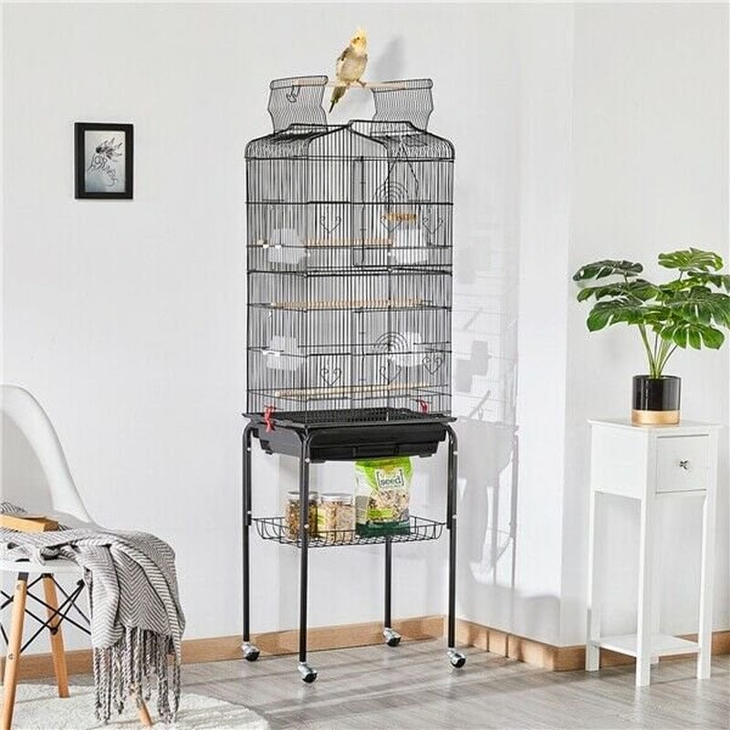 64'' Small Parrot Cockatiel Conure Parakeet Bird Cage with Stand, Open Top Animals & Pet Supplies > Pet Supplies > Bird Supplies > Bird Cages & Stands Just QT
