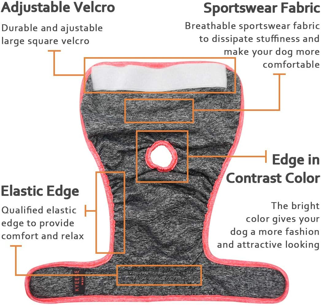 Sports Female Dogs Diapers Reusable (3 Pack) Breathable Dog Wrap Waist 11-1 Animals & Pet Supplies > Pet Supplies > Dog Supplies > Dog Diaper Pads & Liners Home Décor