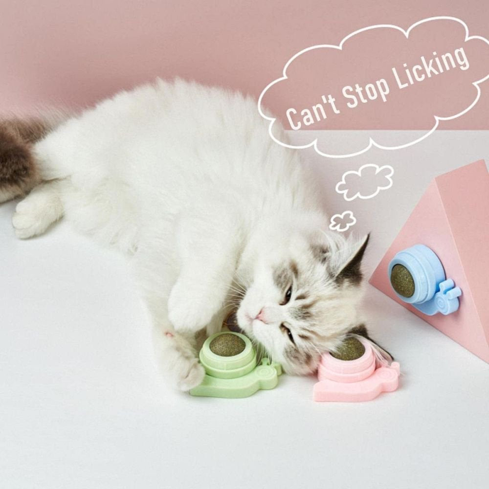 Catnip Squash Edible Cat Toys Cat Lick Ball Teeth Cleaning Catnip Toys for Cats, Natural, Fun and Engaging Play 3 Pack Animals & Pet Supplies > Pet Supplies > Cat Supplies > Cat Treats Ugerlov