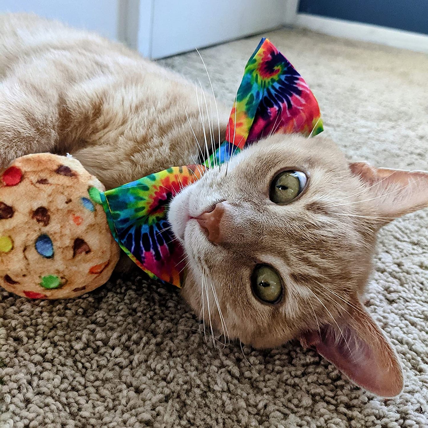 H&K Bow Tie for Pets | Woodstock (Large) | Velcro Bow Tie Collar Attachment | Fun Bow Ties for Dogs & Cats | Cute, Comfortable, and Durable | Huxley & Kent Bow Tie Animals & Pet Supplies > Pet Supplies > Dog Supplies > Dog Apparel Huxley & Kent