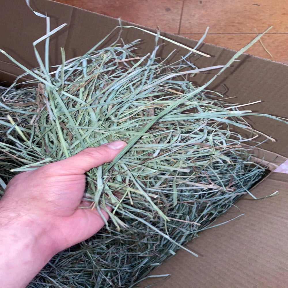 Pacific Meadows Small Pet Quality Orchard Hay 1 Pound Envelope Animals & Pet Supplies > Pet Supplies > Small Animal Supplies > Small Animal Food unknown