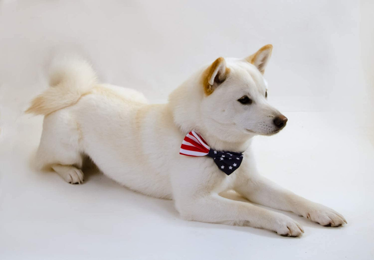 REVEDA Pet Bow Ties Set for Dogs and Cats, Detachable & Adjustable, Holidays Theme, Pet Collars Dog Grooming Accessories, Colorful Neck Tie for Small, Medium, Large Dogs Animals & Pet Supplies > Pet Supplies > Dog Supplies > Dog Apparel Reveda