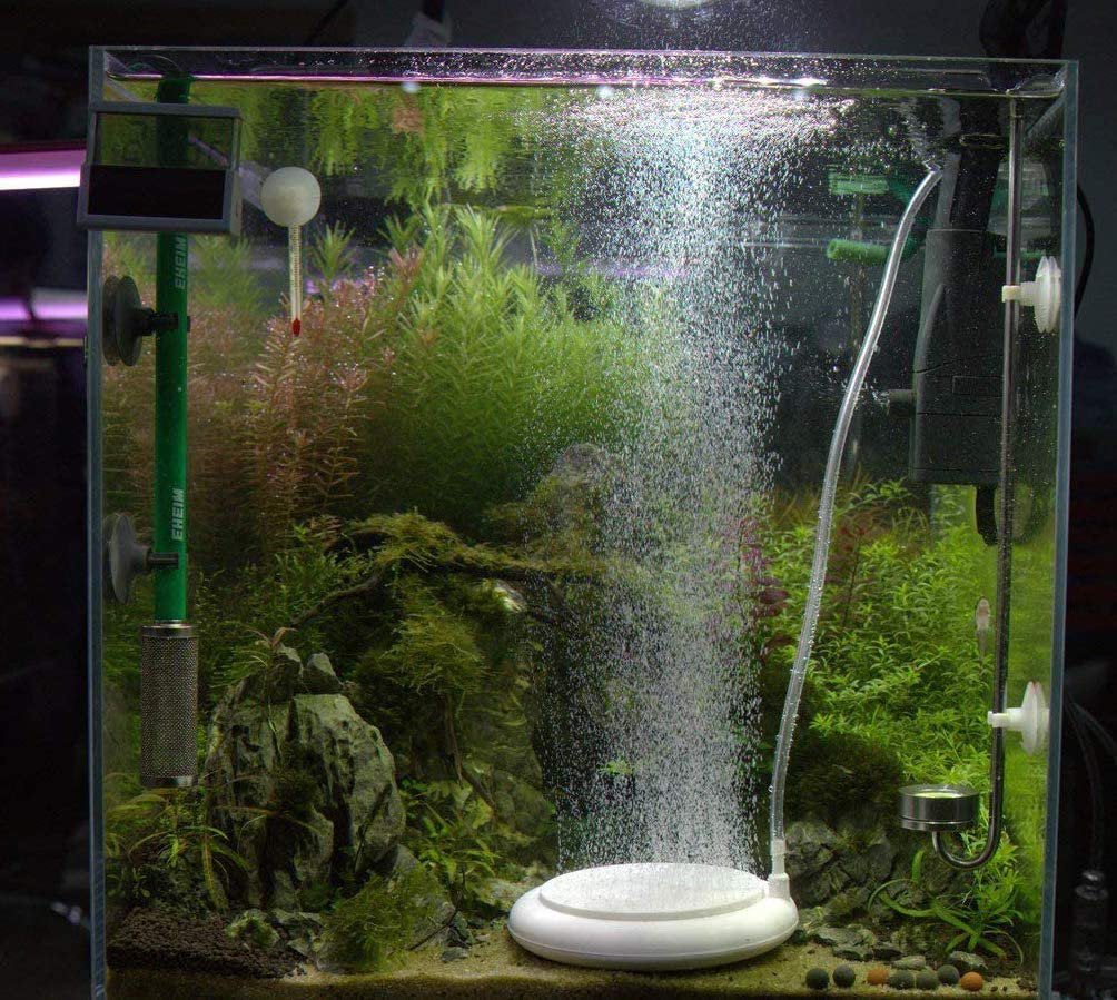 Aquarium Air Stone, Increase O2, Reduce CO2, 50Mm Quiet Aquarium Bubbler, Bubble Diffuser Provides Ultra-High Dissolved Oxygen, Aquarium Air Pump for Decoration (White, 50Mm) Animals & Pet Supplies > Pet Supplies > Fish Supplies > Aquarium Air Stones & Diffusers DERTHADEIG