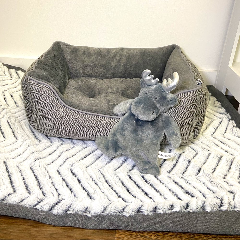 Vibrant Life Holiday Moose Dog Toy with Squeaker for Light to Moderate Chewing Animals & Pet Supplies > Pet Supplies > Dog Supplies > Dog Toys Vibrant Life