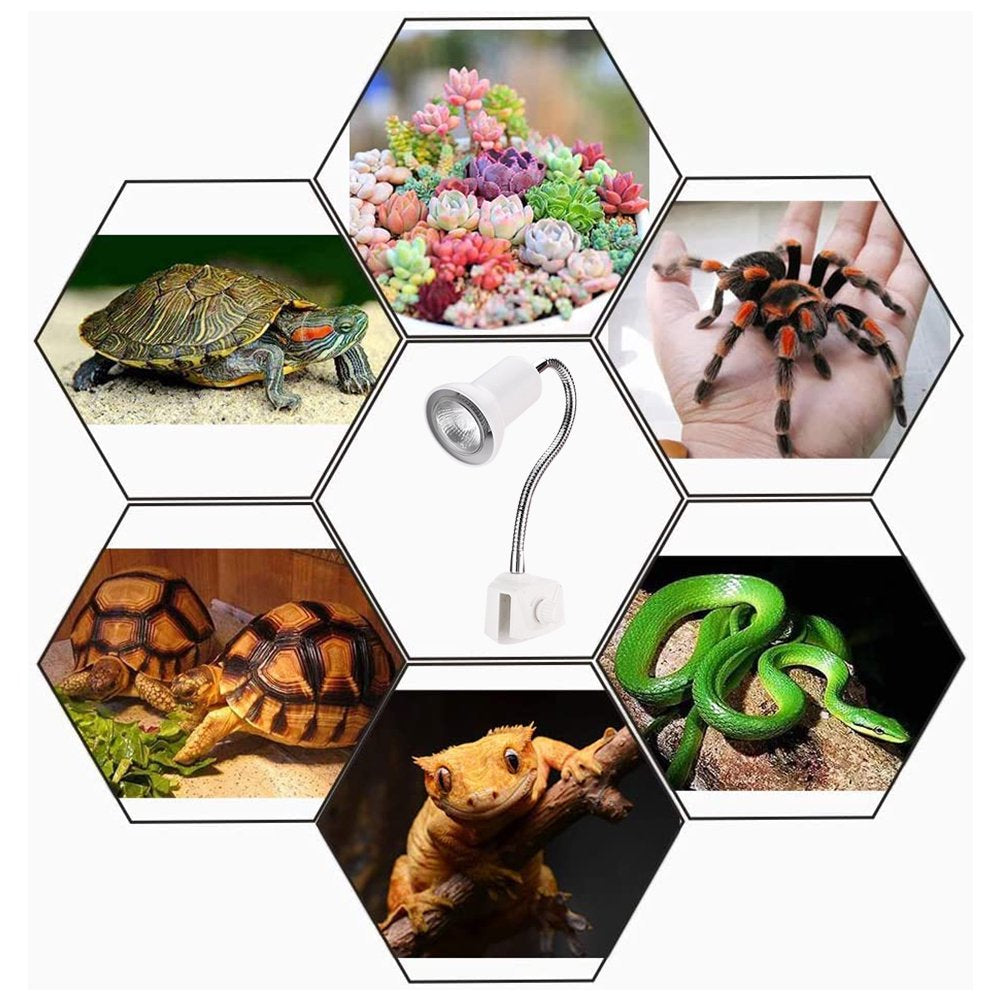 Reptile Heat Lamp Sun Lamp with Adjustable Holder Clamp Lamp with Switch Turtle Basking Spot Light with 360°Rotatable Arm Power Adapter for Lizard Turtle Snake Amphibian Animals & Pet Supplies > Pet Supplies > Reptile & Amphibian Supplies > Reptile & Amphibian Food Ranludas