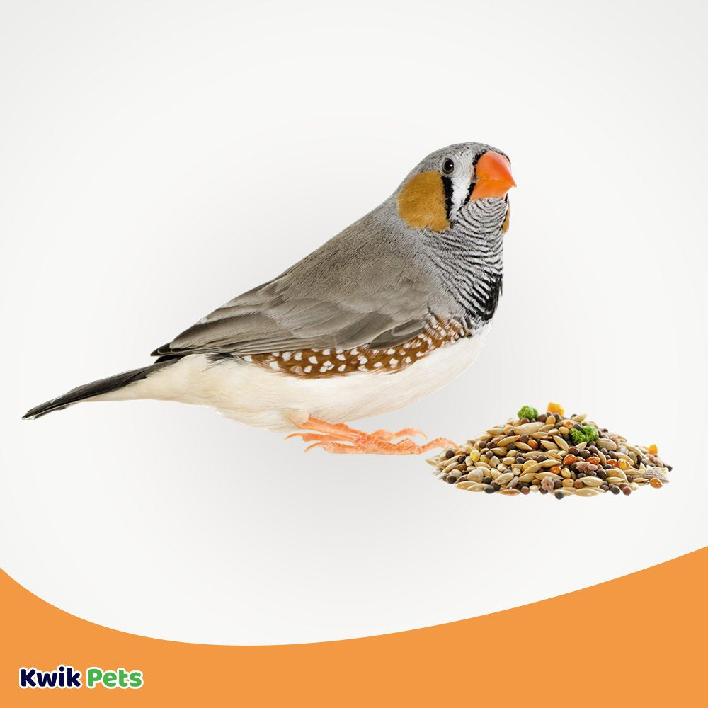 Volkman Seed Avian Science Super Finch Nutritionally Balanced Bird Diet Food 2 Lb Animals & Pet Supplies > Pet Supplies > Bird Supplies > Bird Food VOLKMAN SEED COMPANY INC