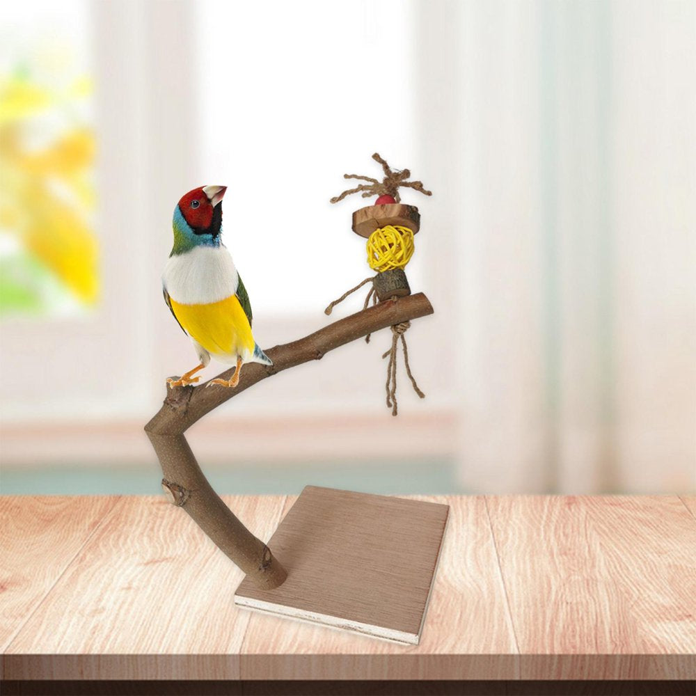 Parrot Bird Perch with Base Tabletop Platform Stand Pole, Paw Grinding Stick, Biting Gym Training, for Small Medium Parrot Keep Your Animals & Pet Supplies > Pet Supplies > Bird Supplies > Bird Gyms & Playstands perfk