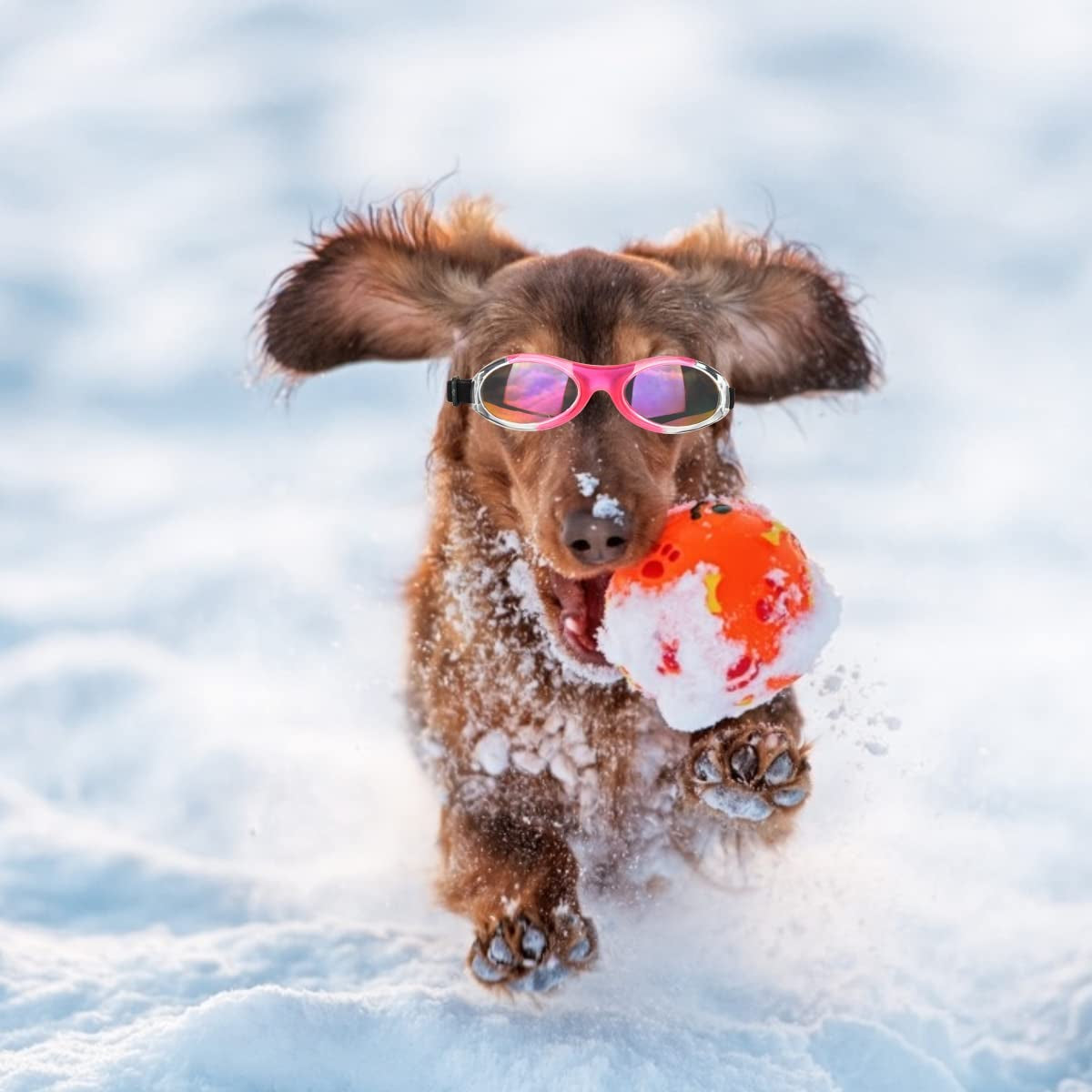 Ufandia Dog Sunglasses, Pet Glasses Dog Goggles for UV Protection & Eye Protection Anti-Fog Pet Goggles with Adjustable Strap, Windproof Puppy Sunglasses for Little Dog and Cat (Red Lens & Pink Frame) Animals & Pet Supplies > Pet Supplies > Dog Supplies > Dog Apparel Ufandia