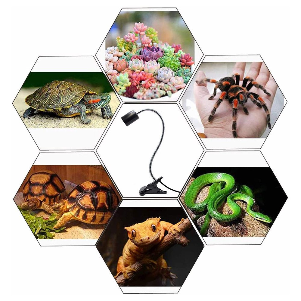 Reptile Heat Lamp Tortoise Basking Spot Lamp Turtle 360°Rotatable Light Clamp Flexible Ceramic Clip Desk Light Holder Socket with Dimmable Switch for Aquarium Pet Lizard Animals & Pet Supplies > Pet Supplies > Fish Supplies > Aquarium Lighting SurVank