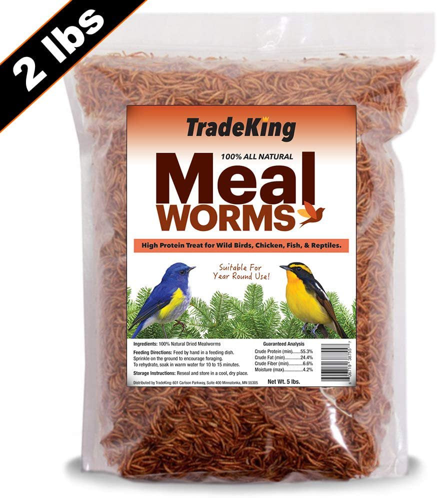Tradeking 100% Natural Dried Mealworms - High Protein Treat for Wild Birds, Chicken, Fish, Reptiles - Resealable Bag (2 Lbs) Animals & Pet Supplies > Pet Supplies > Bird Supplies > Bird Treats TradeKing