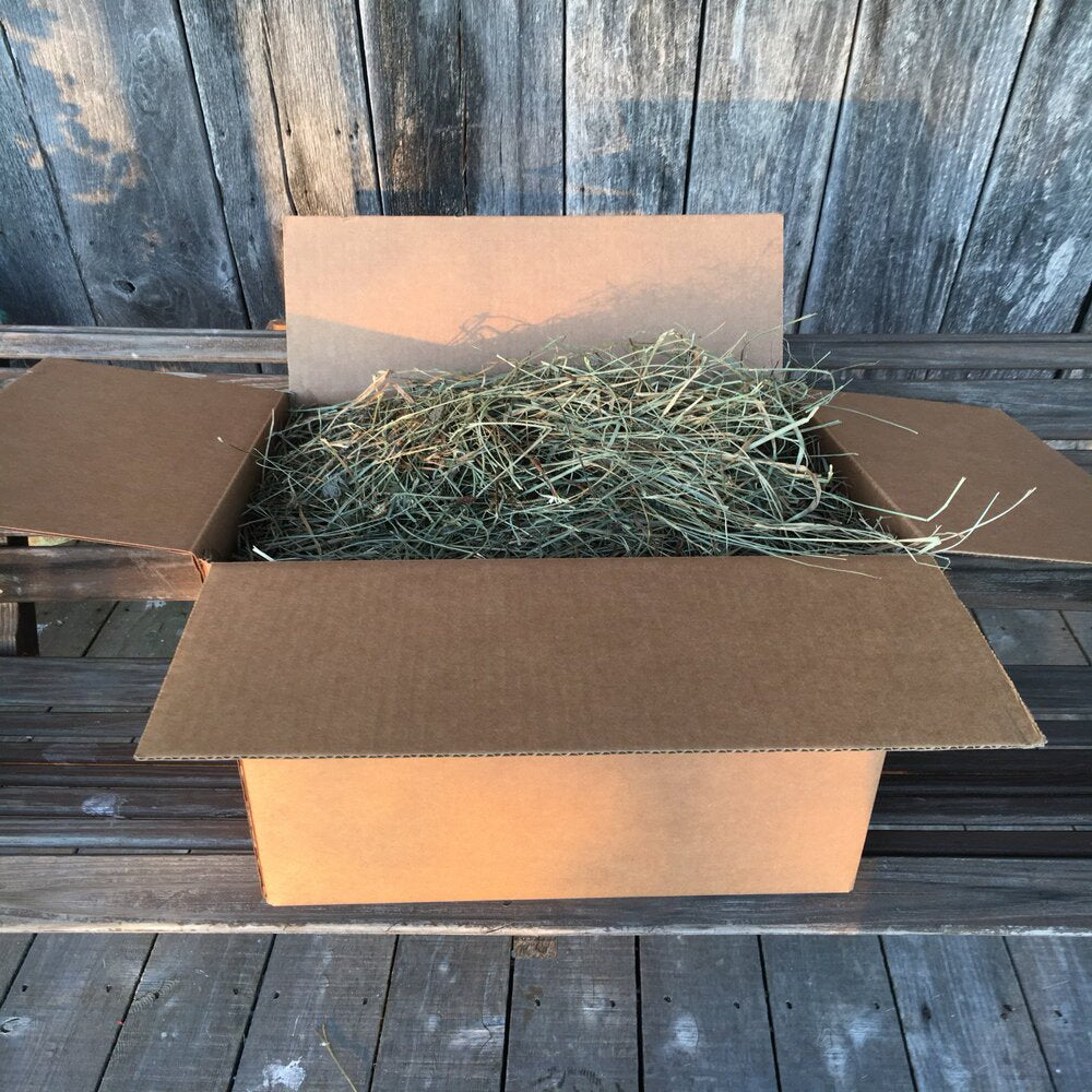 Taul Farms Certified Organic Premium Orchard Grass Clover Hay for Rabbits & Small Pets Animals & Pet Supplies > Pet Supplies > Small Animal Supplies > Small Animal Food Taul Farms 10 lbs
