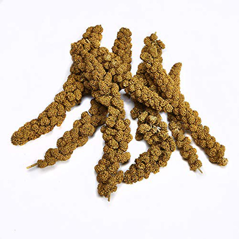 Kaytee Spray Millet for Birds, 6-Count Animals & Pet Supplies > Pet Supplies > Bird Supplies > Bird Treats Kaytee
