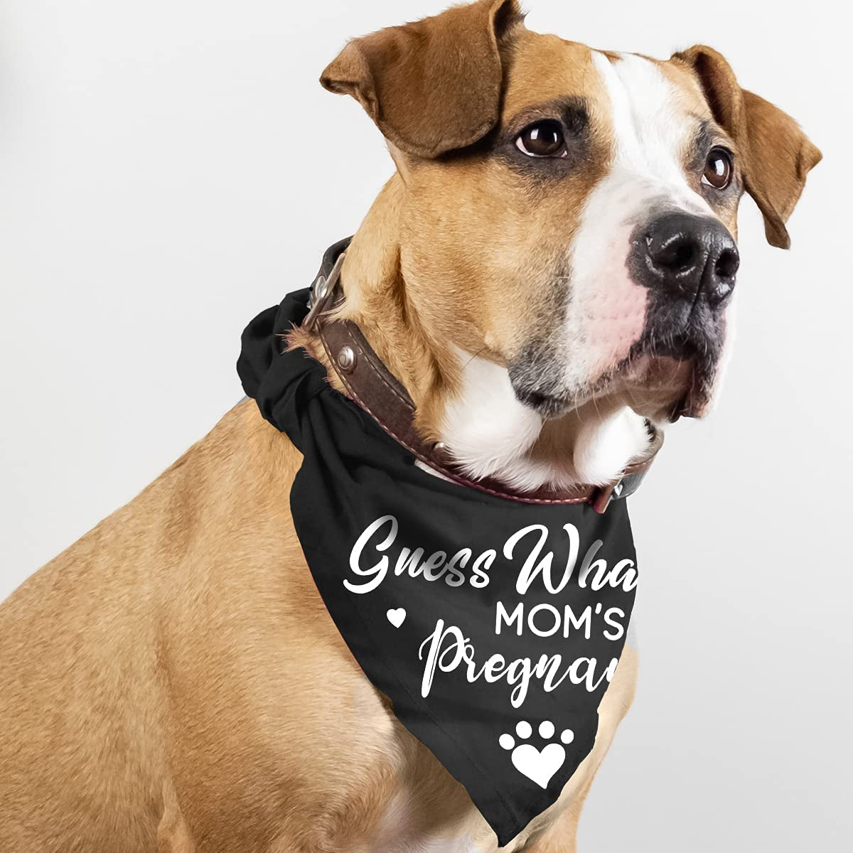 Guess What? My Mom Is Pregnant, Pregnancy Announcement Dog Bandana, Gender Reveal Photo Prop Pet Scarf Decorations Accessories, Pet Accessories for Dog Lovers, Pack of 2 Animals & Pet Supplies > Pet Supplies > Dog Supplies > Dog Apparel Yangmics Direct