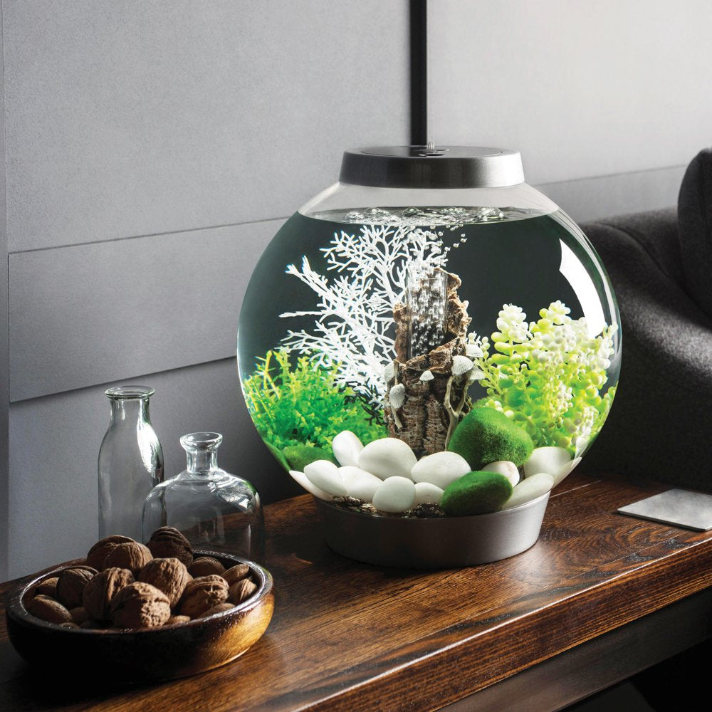 Biorb Aquarium Decor Moss Pebbles, Green Animals & Pet Supplies > Pet Supplies > Fish Supplies > Aquarium Decor Oase