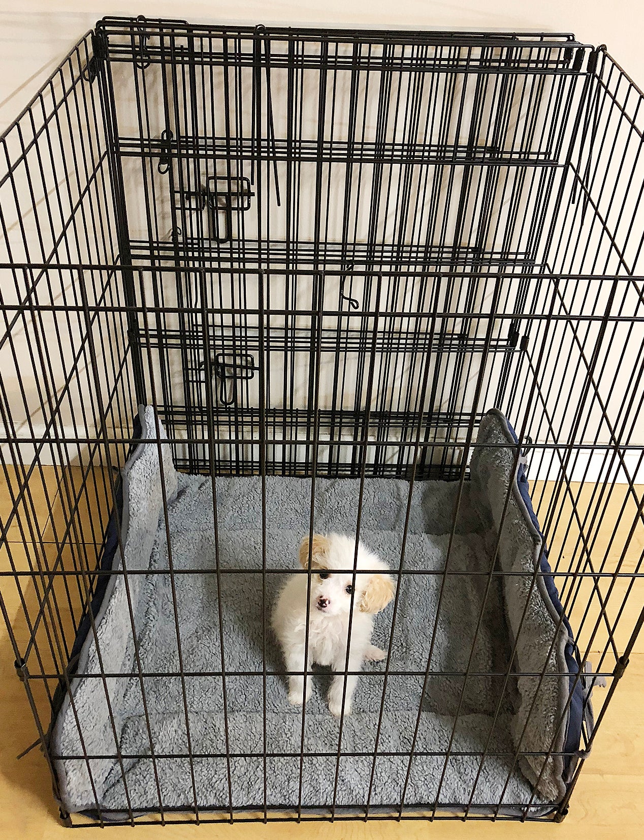 Pawsse Dog Cuddler Bed,Soft Plush Pet Sofa Thick Kennel Cushion Pad Crate Mat Blanket Car Seat Cover for Small Medium Large Dogs Puppy Cats Blue Animals & Pet Supplies > Pet Supplies > Cat Supplies > Cat Beds Pawsse