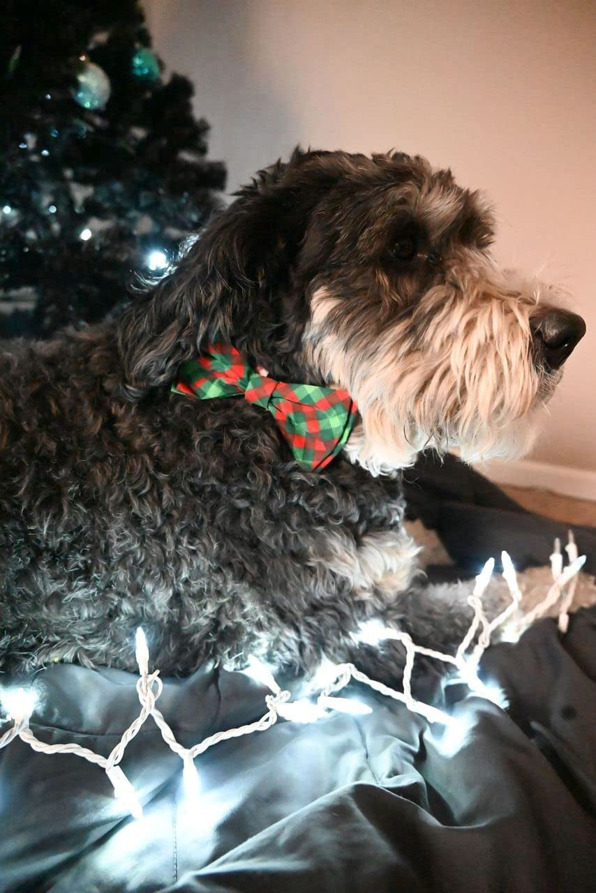 H&K Bow Tie for Pets | Scottish Check (Large) | Christmas Holiday Velcro Bow Tie Collar Attachment | Fun Bow Ties for Dogs & Cats | Cute, Comfortable, and Durable | Huxley & Kent Bow Tie Animals & Pet Supplies > Pet Supplies > Dog Supplies > Dog Apparel Huxley & Kent
