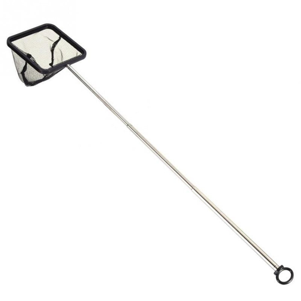 Great Summer Deal Kuluzego Professional Shrimp Fishing Net Durable Telescopic Safe Shrimp Net for Fish Tank Animals & Pet Supplies > Pet Supplies > Fish Supplies > Aquarium Fish Nets Kuluzego