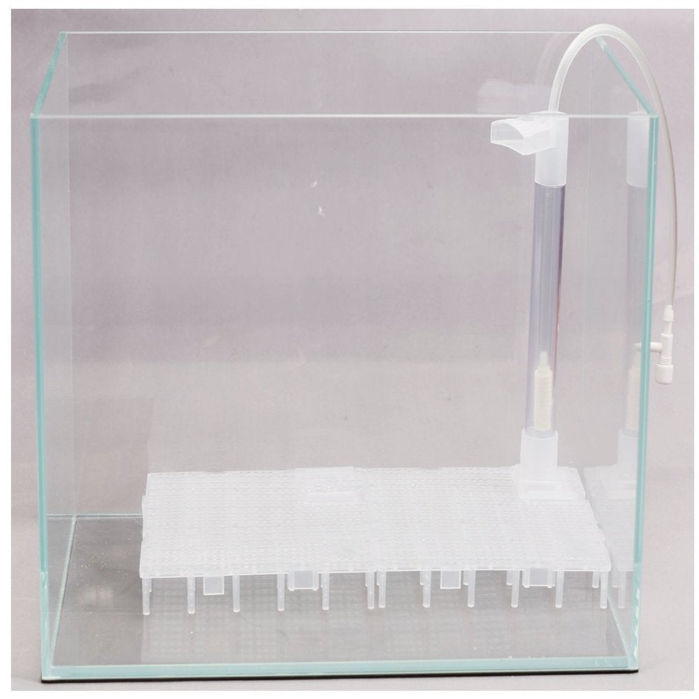 Aquarium Equip ISTA Undergravel Filter 11.8" X 5.9" Fish Tank under Gravel Filter Animals & Pet Supplies > Pet Supplies > Fish Supplies > Aquarium Filters Aquarium Equip