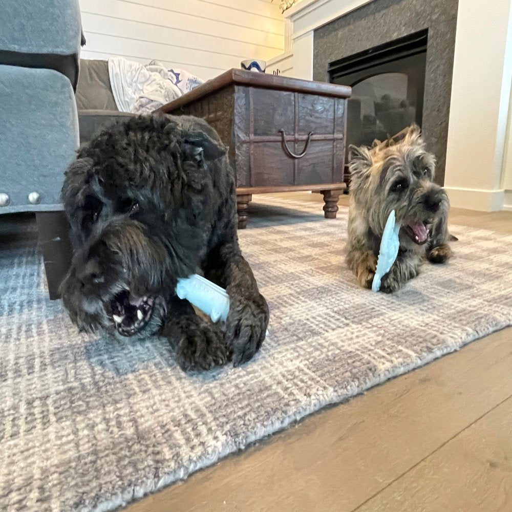 Vibrant Life Turtle Tough Buddy Recycled Chew Toy, Medium Animals & Pet Supplies > Pet Supplies > Dog Supplies > Dog Toys Vibrant Life