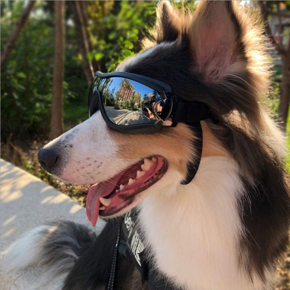 HFGZ Dog Sunglasses Pet Glasses Waterproof Windproof Sunscreen UV Protection,Dog Goggles Suitable for Medium and Large Dogs Animals & Pet Supplies > Pet Supplies > Dog Supplies > Dog Apparel HFGZ