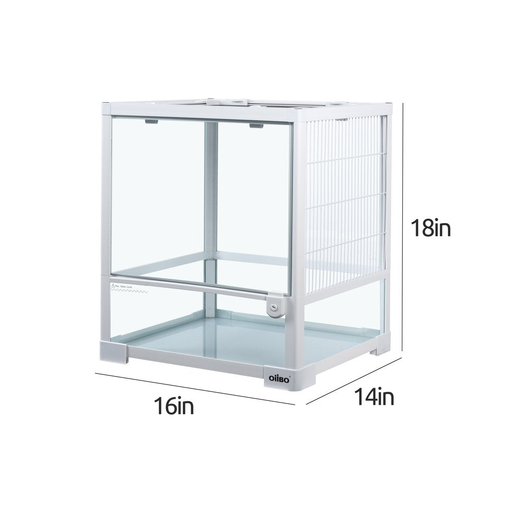 Oiibo Knock down Glass Terrarium, 16×14×18 Inches Animals & Pet Supplies > Pet Supplies > Reptile & Amphibian Supplies > Reptile & Amphibian Substrates etan pet supplies inc