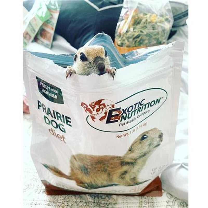 Exotic Nutrition Prairie Dog Diet 18Lb. Animals & Pet Supplies > Pet Supplies > Small Animal Supplies > Small Animal Food Exotic Nutrition